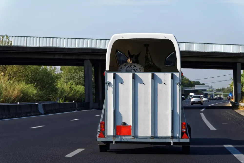 Formations B96 et BE (1)